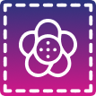 Vector 1